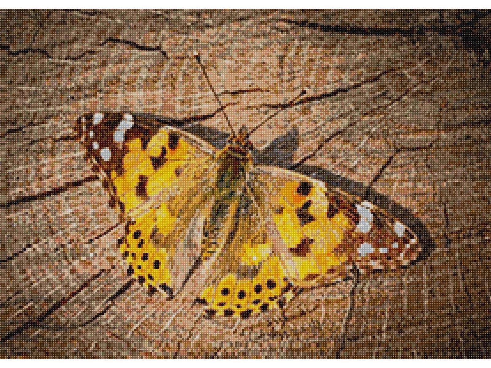 'Distelfalter' - Quadratisch (exklusiv) von Spielzeughafen