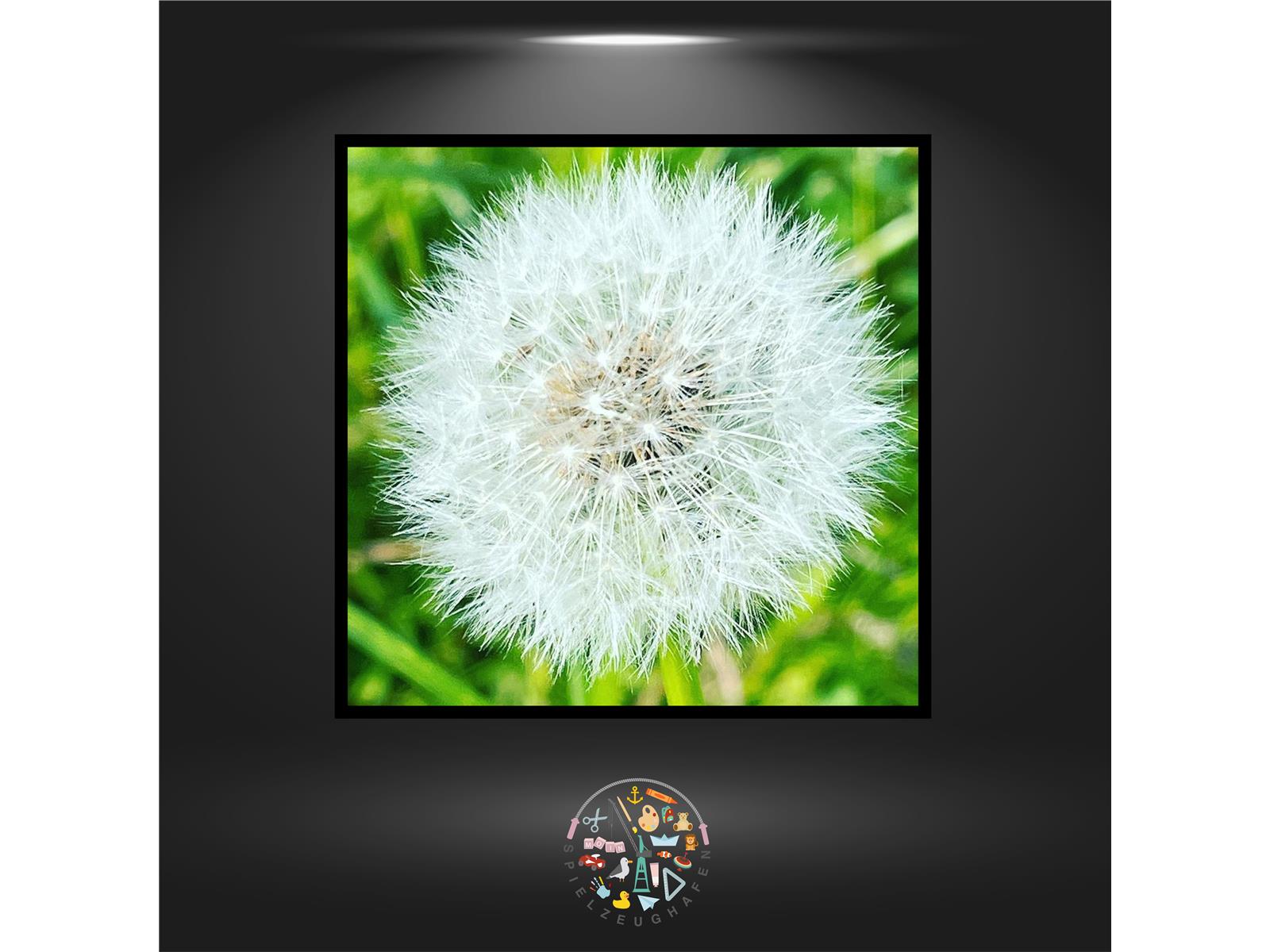 Pusteblume - Quadratisch von Spielzeughafen