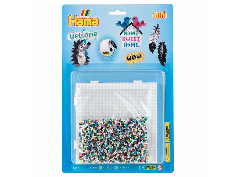 5000 Mini Bügelperlen Set Home von Spielzeughafen