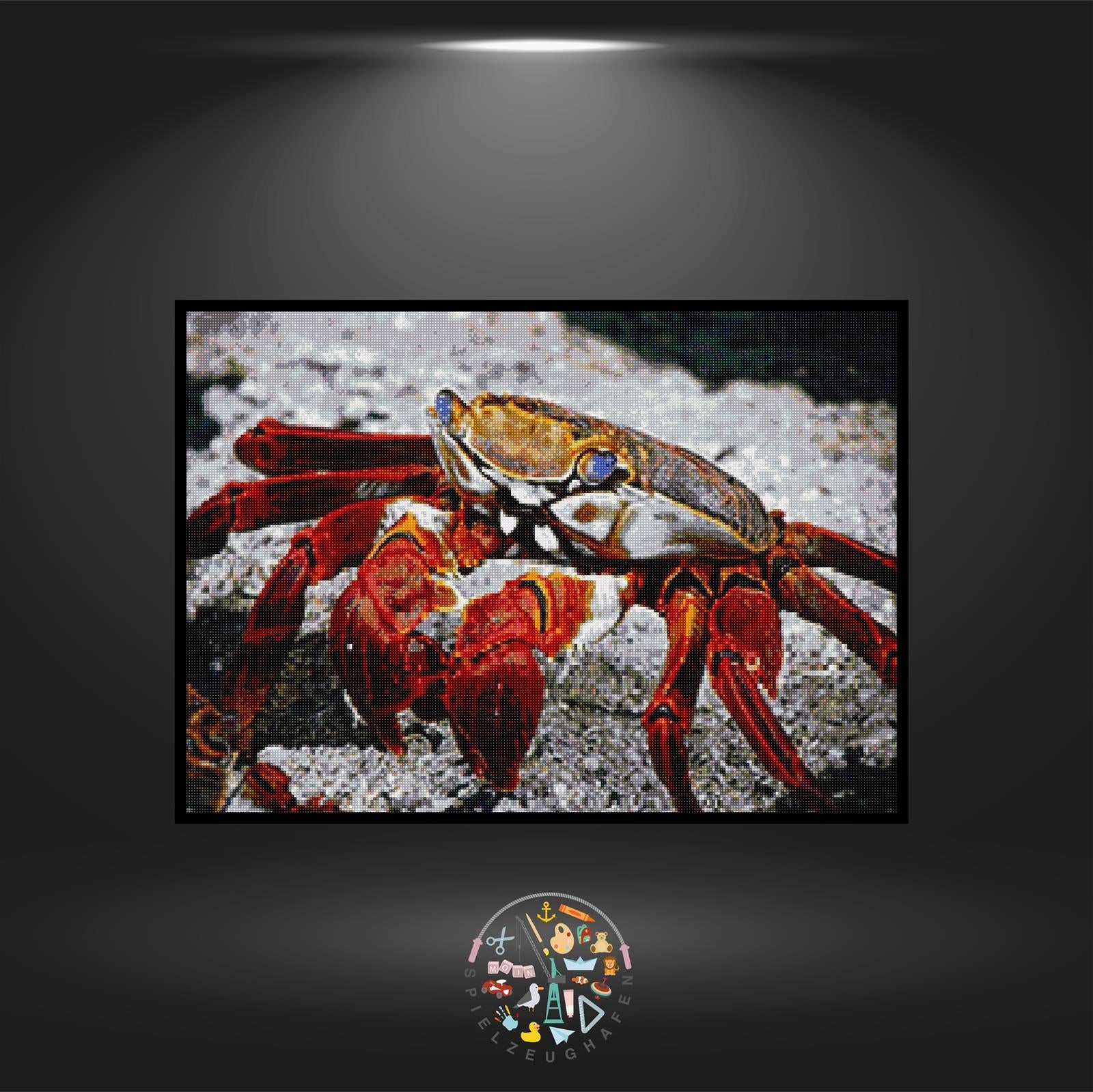 Krabbe Sebastian - Quadratisch von Spielzeughafen