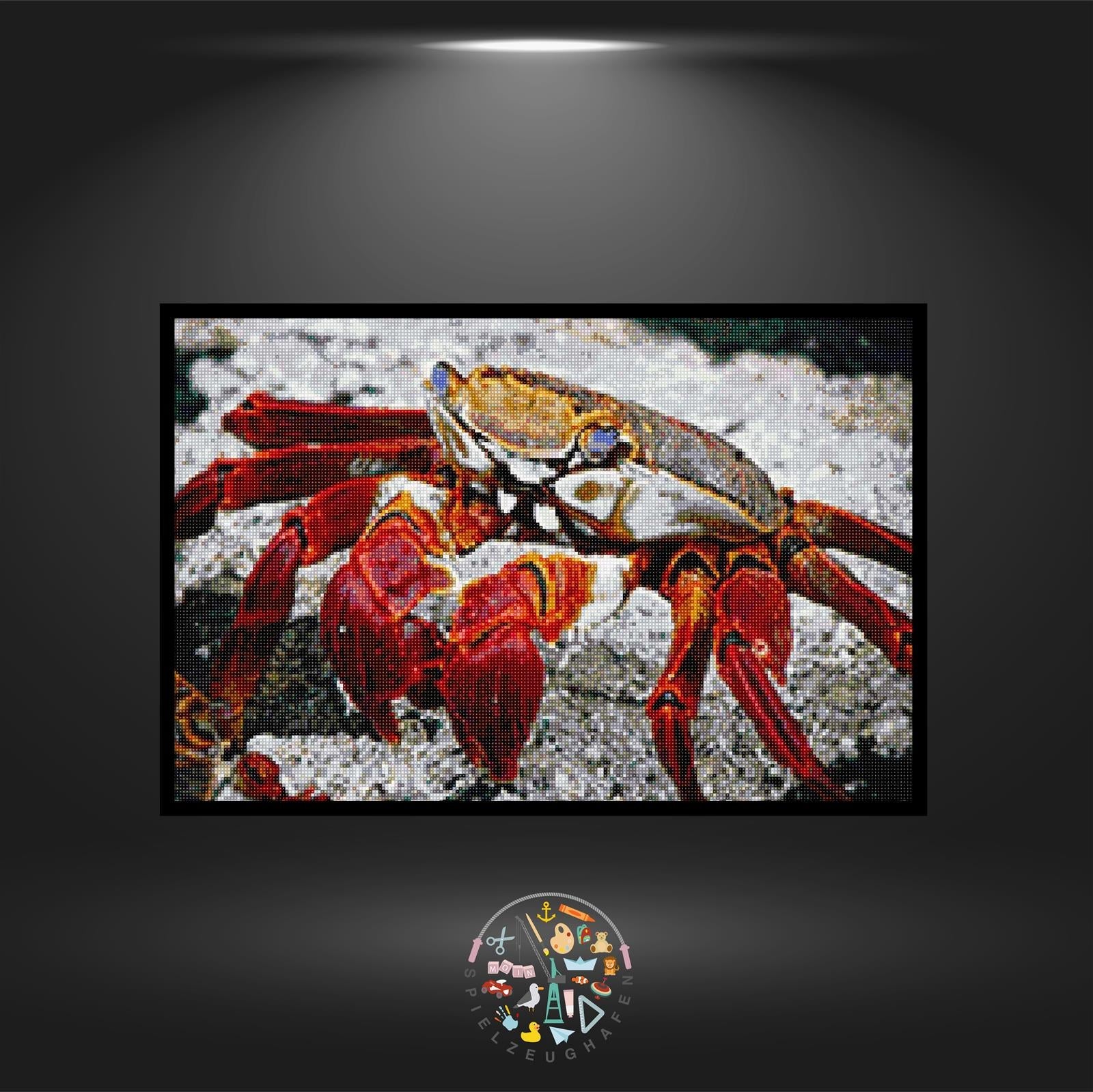 Krabbe Sebastian - Quadratisch von Spielzeughafen