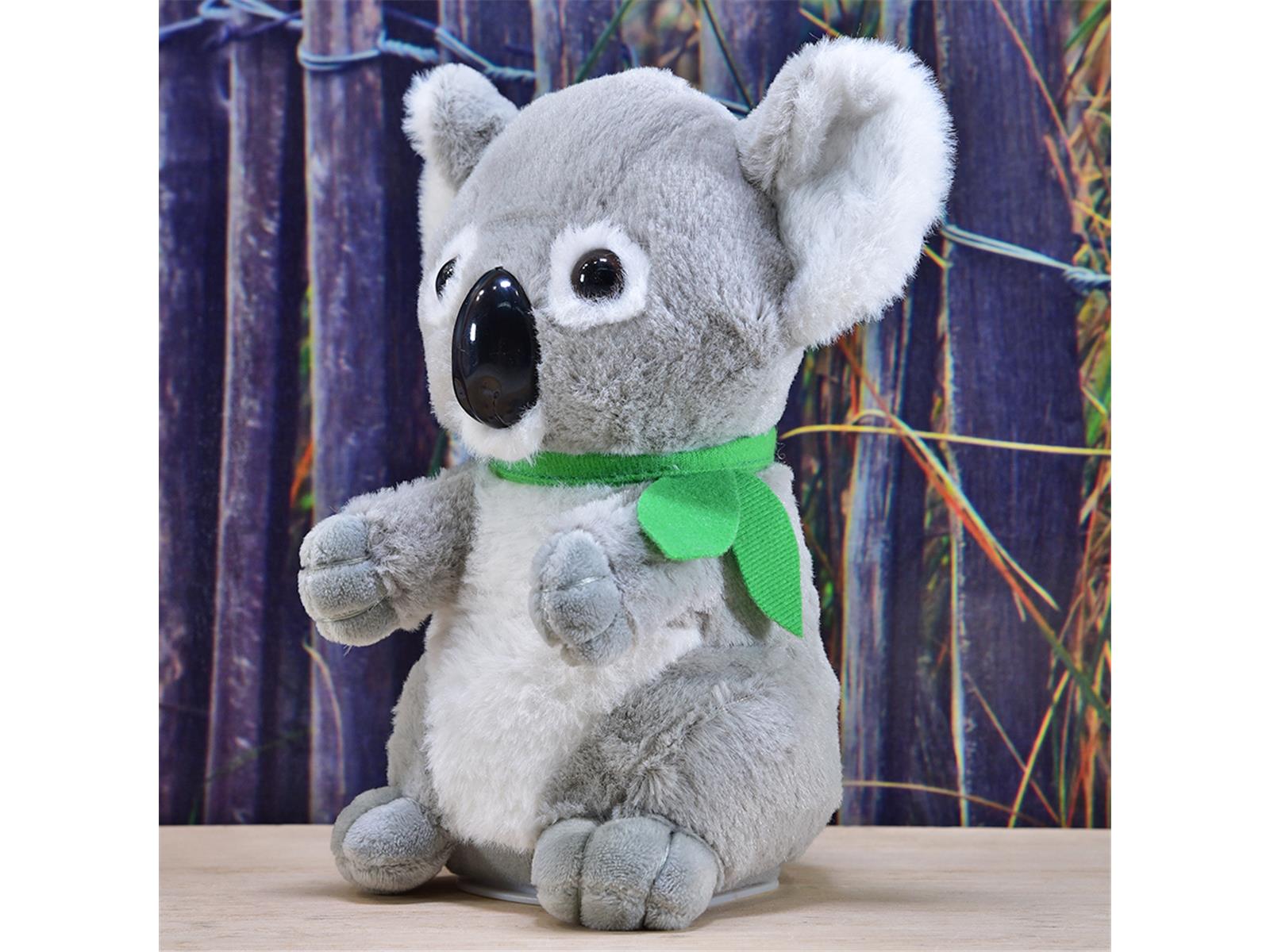 Laber-Koala"Travis"