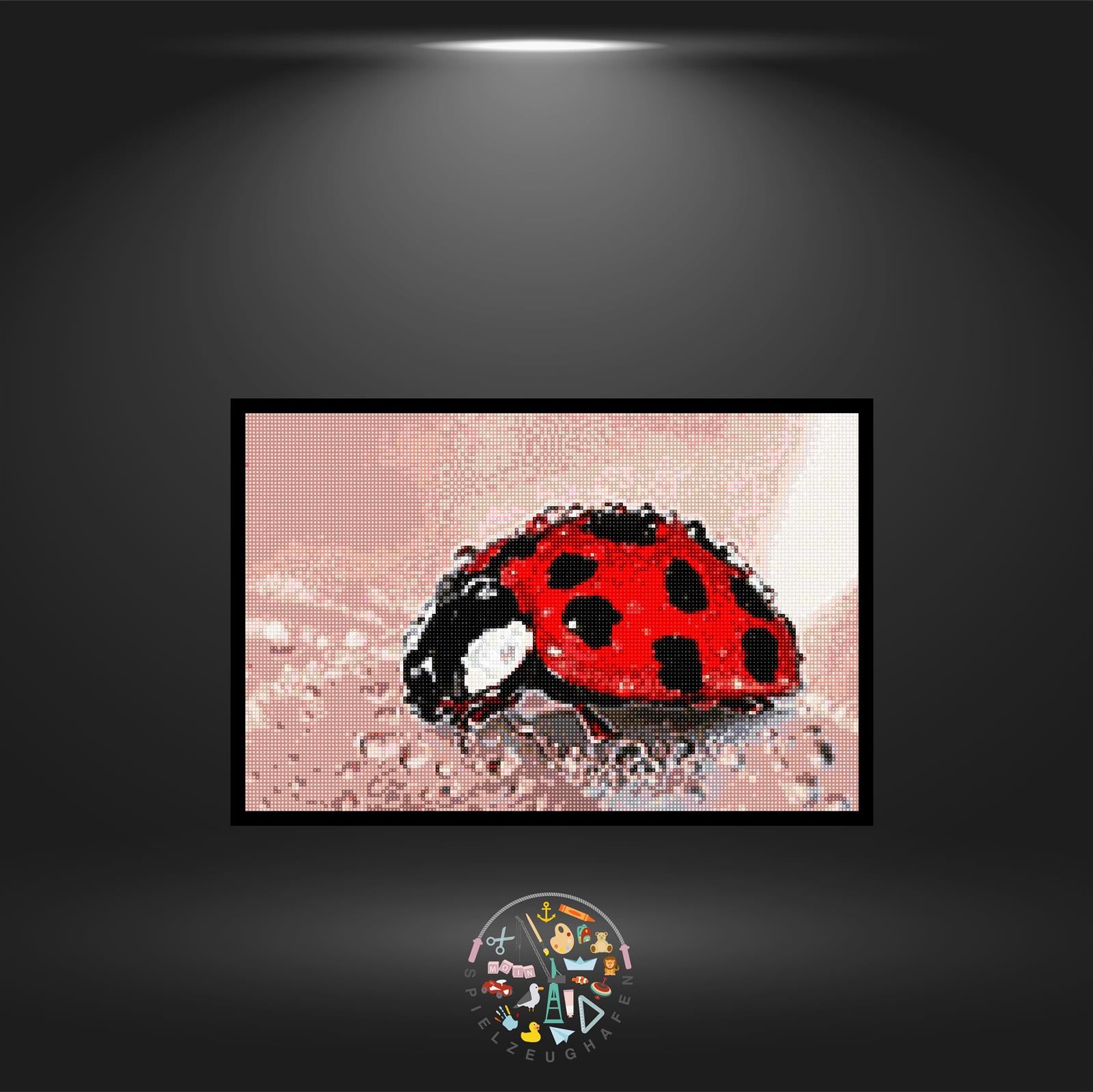 Ladybug - Quadratisch