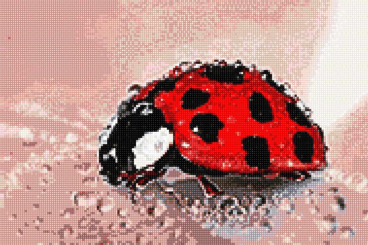 Ladybug - Quadratisch